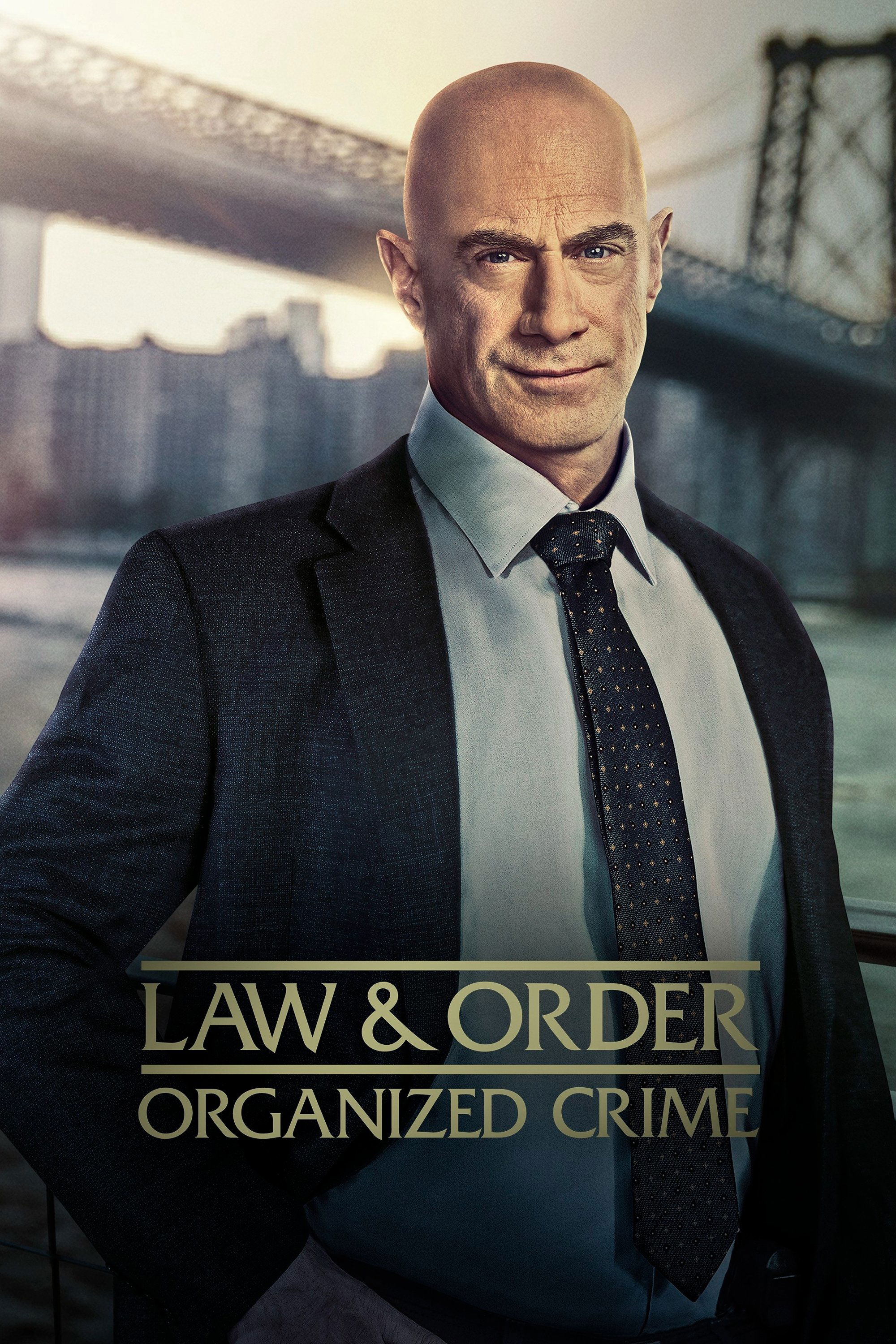Law &amp; Order Organized Crime [238895] (A1617362015) [[TV Shows]] --Plex--